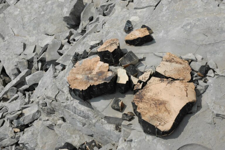 thematiki-diadromi-geology-1-01