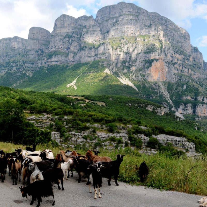 10 Panorama 2-vikos-aoos-geopark