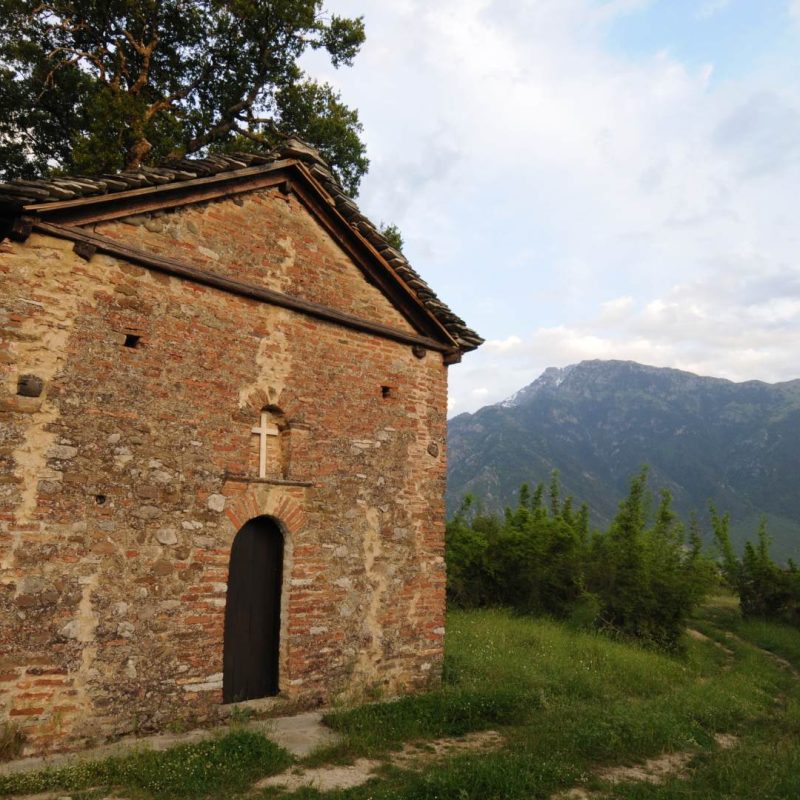 140605 ΜΙΤΣΙΚΕΛΙ ΜΥΡΤΩ 340-architecture-vikos-aoos-geopark