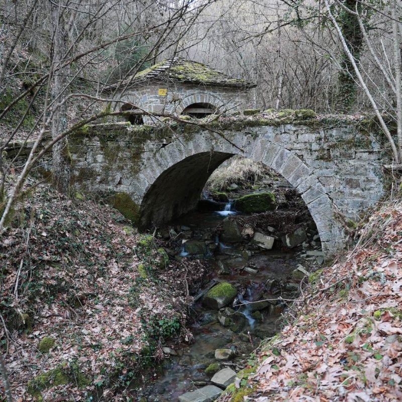AVRO0860-gefiria-vikos-aoos-geopark