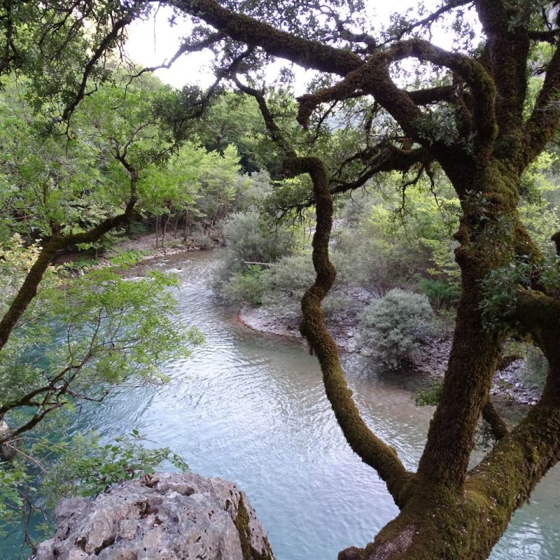 DSC03039-hydro-geology-landscape-vikos-aoos-geopark