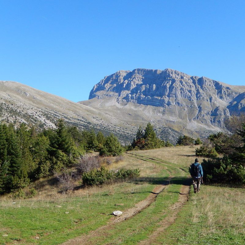Thematic routes 2-08
